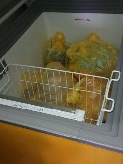 Холодильник для хранения медицинских отходов класса "А", "Б"