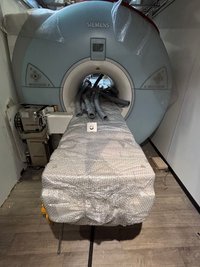 Siemens Magnetom Avanto Tim & Dot 2016