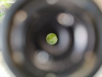 Фиброгастроскоп Olympus GIF-XQ20