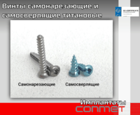 Винты самонарезающие и самосверлящие титановые Винты