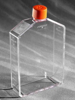 Колбы для клеточных культур Corning® Costar®  артикул CLS3000