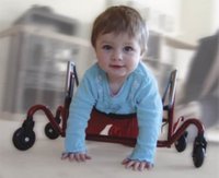 Meyland Discover - ходунки для ползания