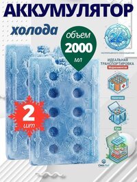 Аккумулятор холода для термосумок и термоконтейнеров 2 штуки