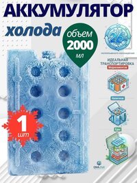Аккумулятор холода для термосумок и термоконтейнеров 1 штука
