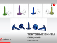 Тентовые опорные винты EndoCarbon — самонарезающие крепёжные элементы для остеосинтеза в челюстно‑лицевой хирургии