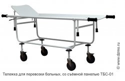 Тележка для перевозки больных, со съемной панелью ТБС-01