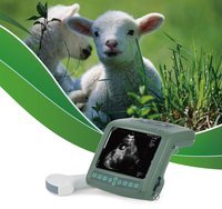 УЗИ-аппарат ветеринарный ES8 (KAIXIN) для свиней, овец, крупных собак