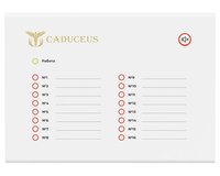 Терминал светодиодной индикации CADUCEUS SU-TE