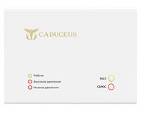 Устройство диспетчеризации кислородного газификатора CADUCEUS