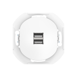Розетка скрытой установки CADUCEUS ALING EON USB тип A для зарядки устройств, двойная, 2,1А, 5В=, 250В~, механизм
