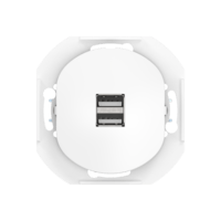 Розетка скрытой установки CADUCEUS ALING EON USB тип A для зарядки устройств, двойная, 2,1А, 5В=, 250В~, механизм