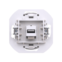 Розетка скрытой установки CADUCEUS ALING EON с модулем Keystone USB 2.0 тип A-A, механизм