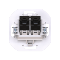 Розетка скрытой установки CADUCEUS ALING PRESTIGE двойная компьютерная с модулями Keystone RJ45 8P8C, cat.6, UTP, механизм