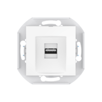 Розетка скрытой установки CADUCEUS ALING PRESTIGE с модулем Keystone USB 2.0 тип А-А, 250В~, механизм