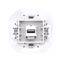 Розетка скрытой установки CADUCEUS ALING PRESTIGE с модулем Keystone USB 2.0 тип А-А, 250В~, механизм