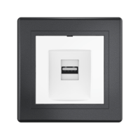 Розетка скрытой установки CADUCEUS ALING PRESTIGE с модулем Keystone USB 2.0 тип А-А, 250В~