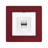 Розетка скрытой установки CADUCEUS ALING PRESTIGE с модулем Keystone USB 2.0 тип А-А, 250В~