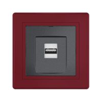 Розетка скрытой установки CADUCEUS ALING PRESTIGE с модулем Keystone USB 2.0 тип А-А, 250В~