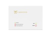 Устройство диспетчеризации кислородного газификатора CADUCEUS